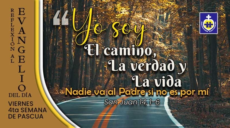 evangelio del dia