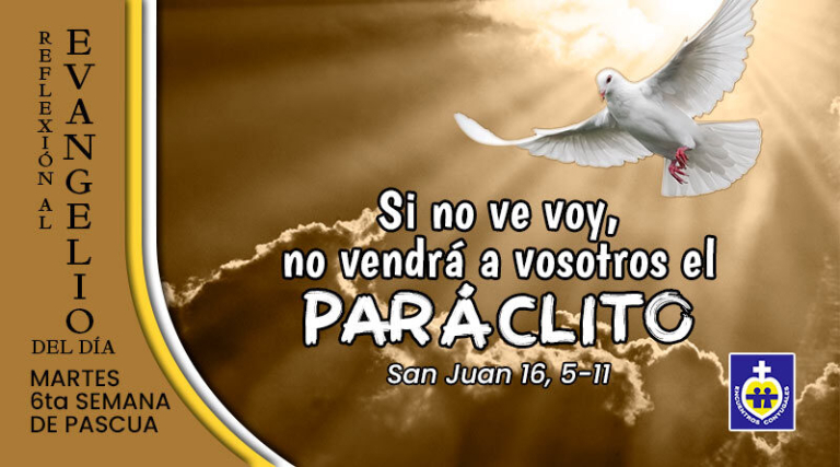 evangelio del dia