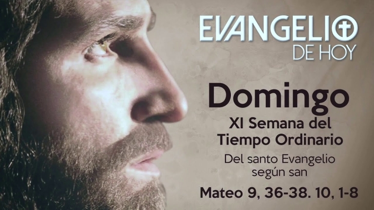 DOMINGO 