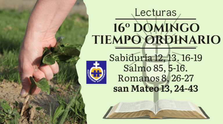 EVANGELIO DEL DOMINGO