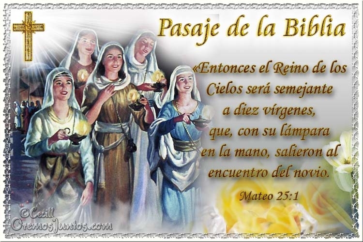 evangelio del dia