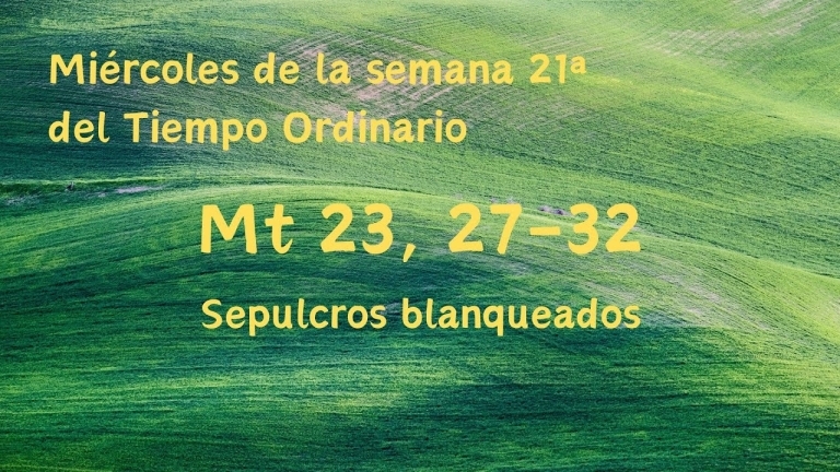 evangelio del dia