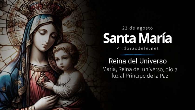 SANTO DEL DIA