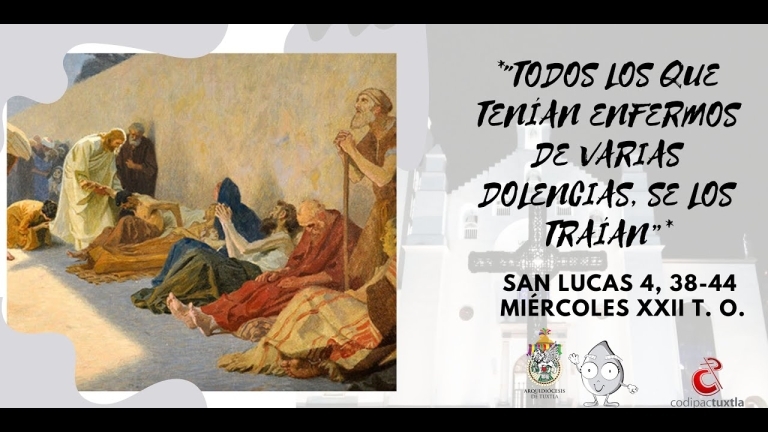 evangelio del dia