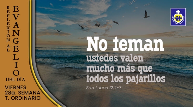 VIERNES 28