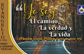 evangelio del dia