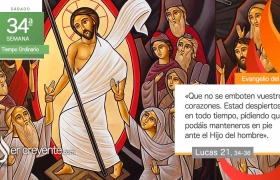 evangelio del dia