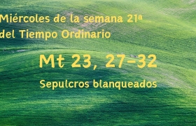 evangelio del dia