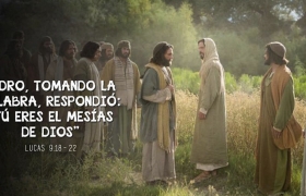 evangelio del dia