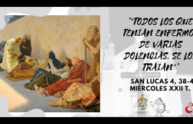 evangelio del dia