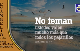 VIERNES 28