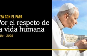 PAPA