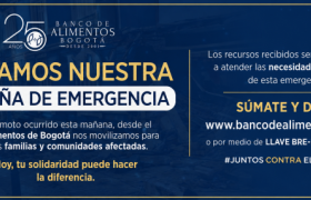 BANCO DE ALIMENTOS